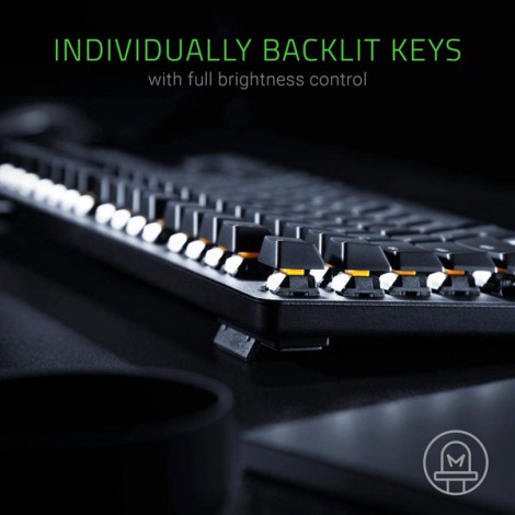 Bàn phím Razer BlackWidow Lite–Silent Mechanical-US Layout-Orange Switch _Chính hãng