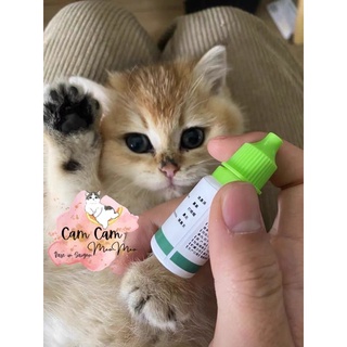 Dung dịch hỗ trợ chảy mũi 🐱