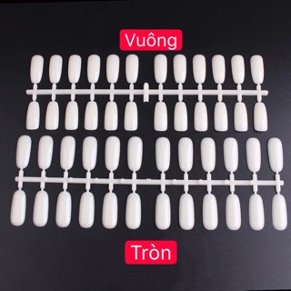 Móng gắn sổ trưng bày mẫu sơn 120 móng có loại tròn,vuông
