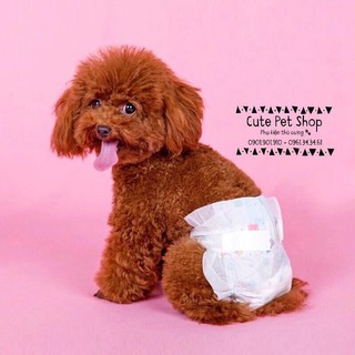 Bỉm cho cún mèo🐶🐱