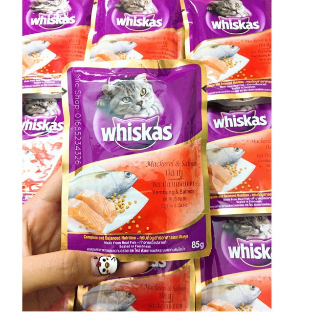 Pate Whiskas cho mèo, mèo con
