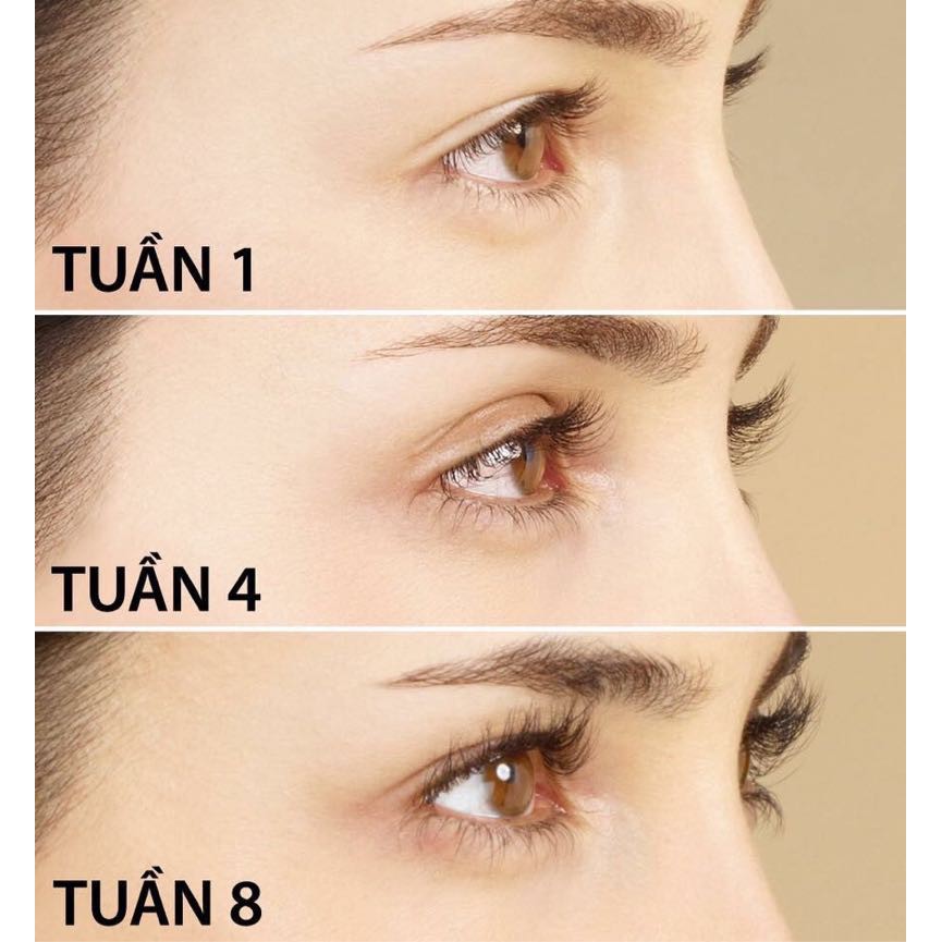 Dưỡng Mi Eveline 8in1 - duongmi | BigBuy360 - bigbuy360.vn