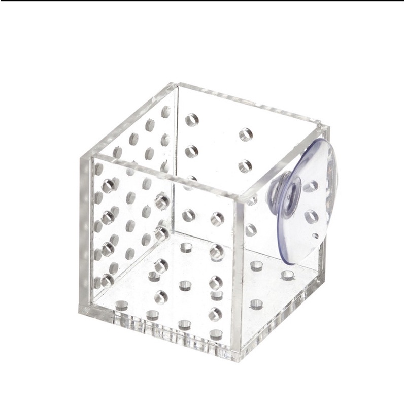 Cốc trồng Box trồng cây thuỷ sinh acrylic - cốc mica trồng cây - đựng trùng chỉ