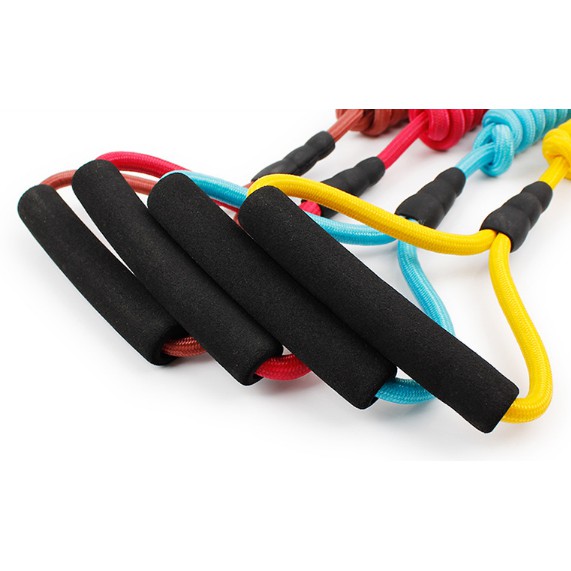 Dây dắt thú cưng cao cấp có tay cầm 3-9kg