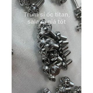 Ốc Salaya 8li Đầu Dù Gắn Đĩa xe