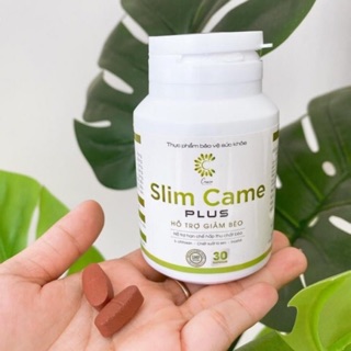Giảm cân tinh hoa trà came plus
