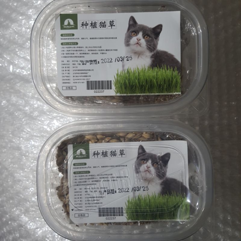 Hộp Hạt Giống và Đất Trồng Cỏ cho Mèo