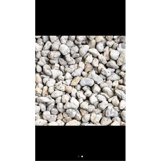 1 kg đá thấm thuỷ( đá bọt)