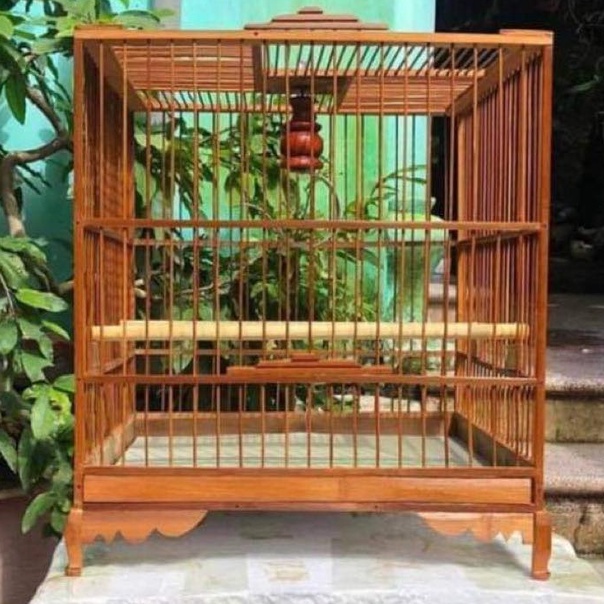 Khung lồng chim chào mào thái đấu, vuống đấu trúc già cật vàng đã qua xử lý màu phụ kiện lồng chim Minibica LC100