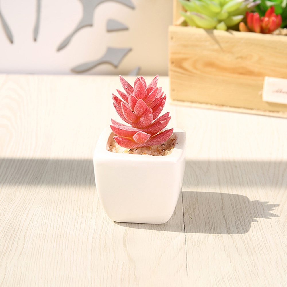 Chậu Cây Bonsai Giả Để Bàn Trang Trí Văn Phòng / Ban Công