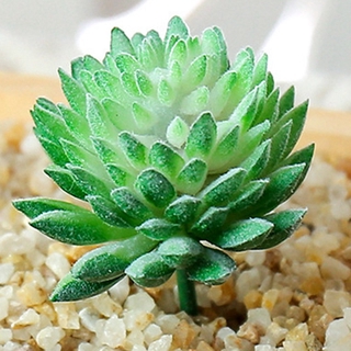 Artificial succulents, floristry, artificial flowers, plastic artificial plants