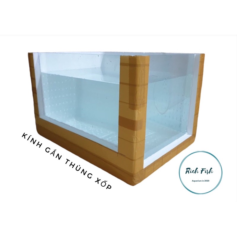 Tấm Kính Dán Bể Cá Thùng Xốp Nhiều Kích Cỡ