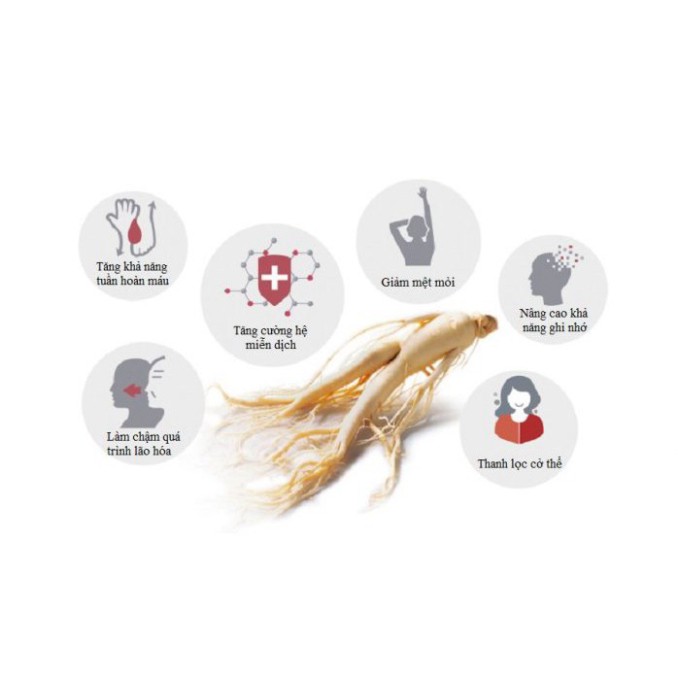 [Flash Sale] Cao Sâm Núi cho người suy nhược cơ thể Hàn Quốc Kanghwa hũ 1kg | BigBuy360 - bigbuy360.vn