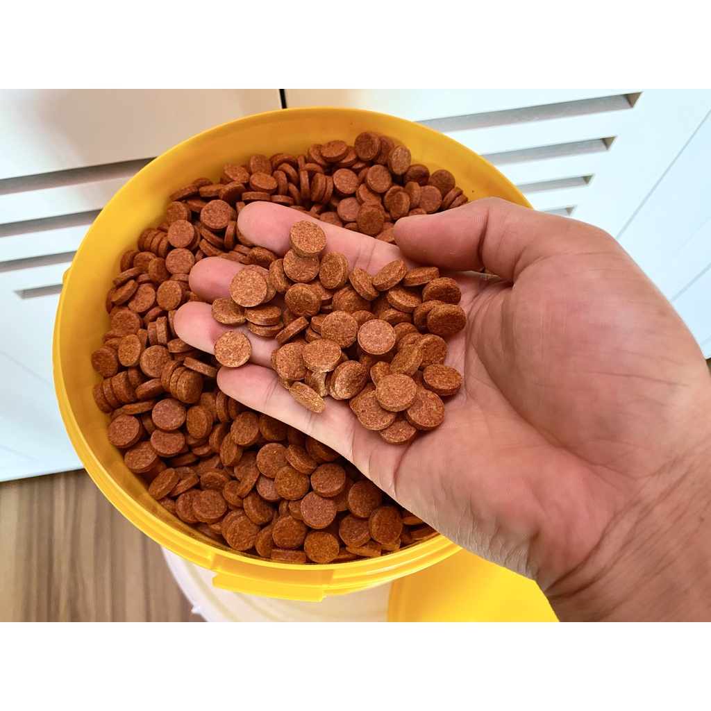 TROPICAL VITALITY COLOR TABLETS Thức ăn viên dán cho các dòng Cầu Vồng, Thủy sinh, Neon, Chuột, Sóc, diế