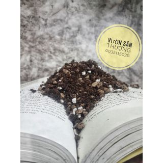 Đất cho sen đá xương rồng