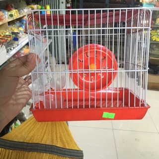 Combo cho các bạn mới nuôi Hams