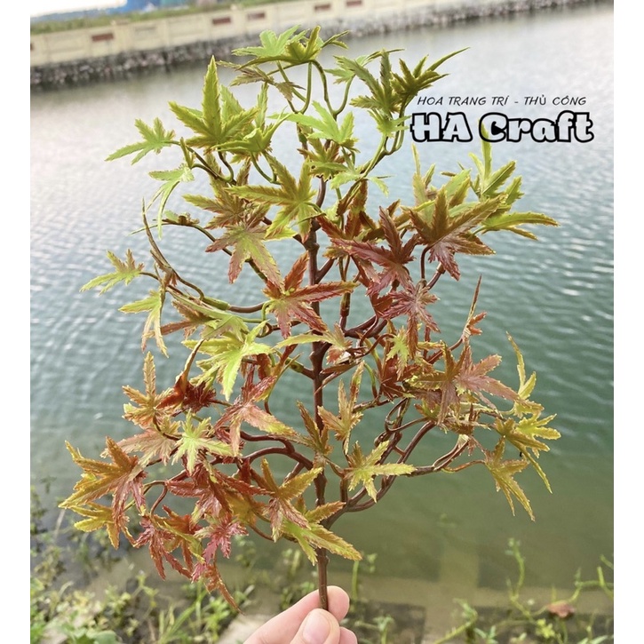 Cành lá phong 4 màu làm cây trang trí,cây bonsai handmade, lá tùng