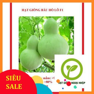 Hạt giống bầu hồ lô 10 hạt hat f1