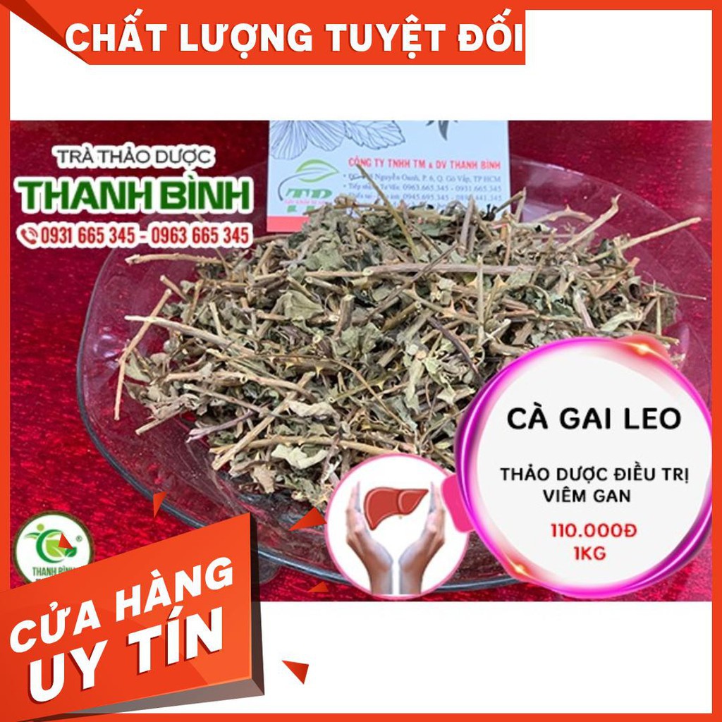 Combo 2Kg Cà Gai Leo - Loại 1 - Hàng Công Ty - Thảo Dược Uy Tín