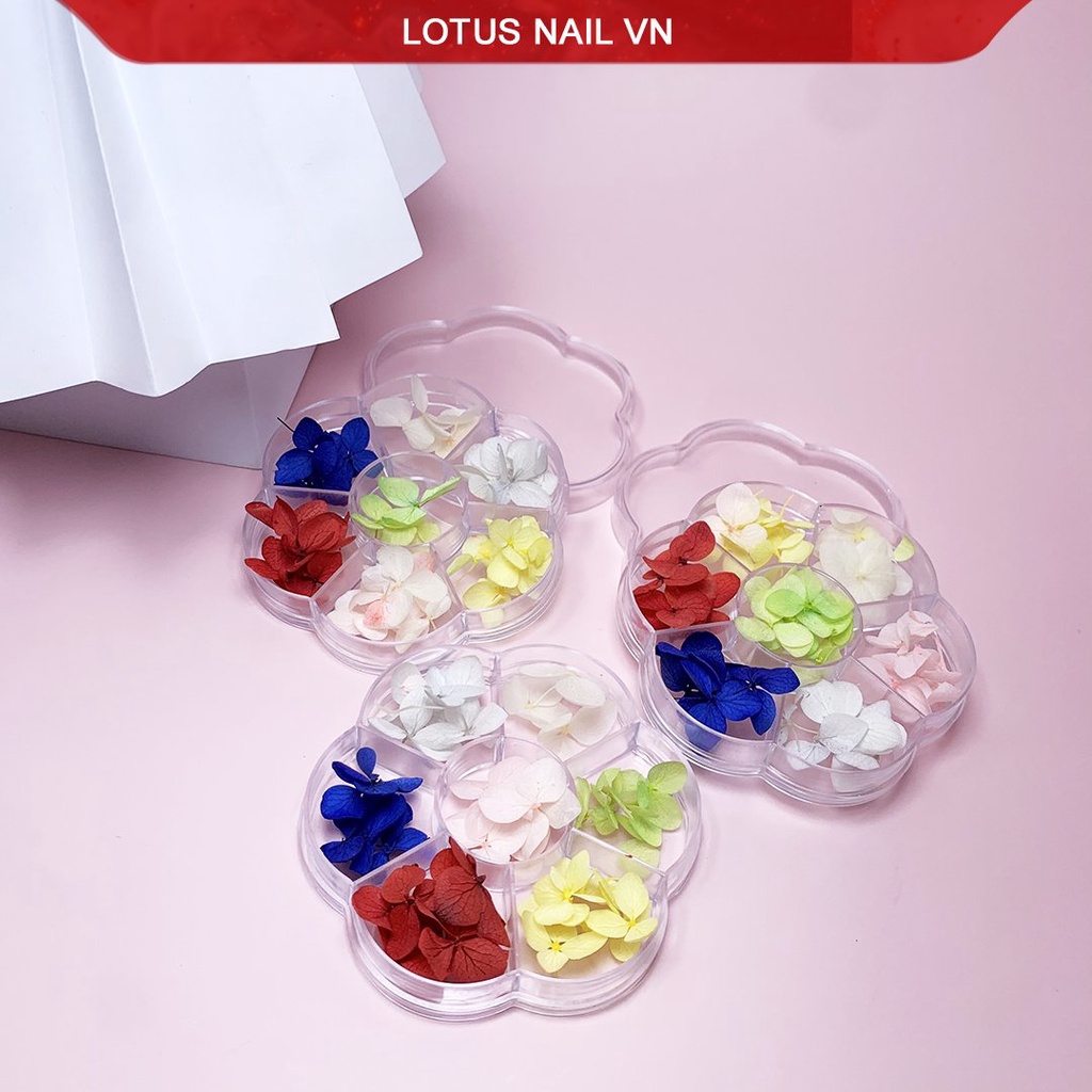 Hoa khô nail, hoa khô lụa tú cầu trang trí móng khay 7 màu