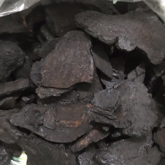 Hà thủ ô( tẩm Sa nhân, đậu đen, sinh khương) | BigBuy360 - bigbuy360.vn