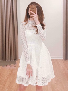 Đầm dạ tiệc phối lưới sang chảnh