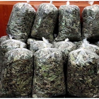 LÁ CÂY XẠ ĐEN PHƠI KHÔ 1KG