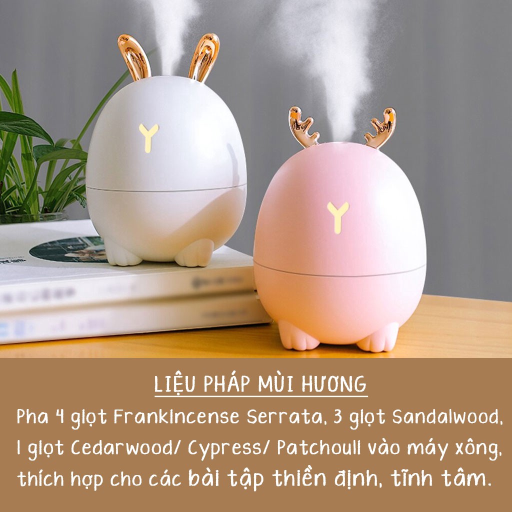 Tinh Dầu Hương Trầm (Frankincense Serrata) - 100% Thiên Nhiên Nguyên Chất - Vitabox Natural Essential Oil