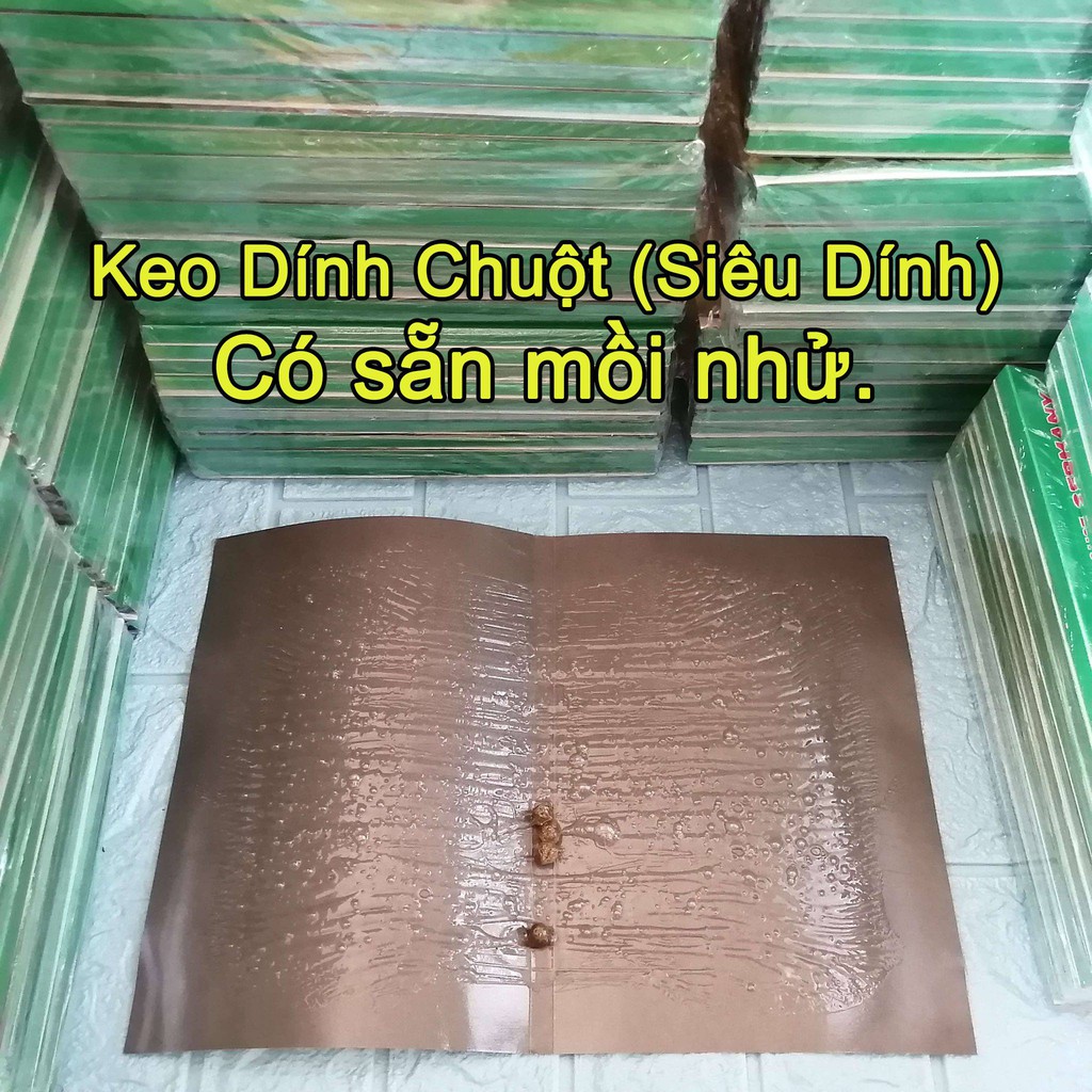 Keo Dính Chuột Siêu Dính Có Sẵn Mồi