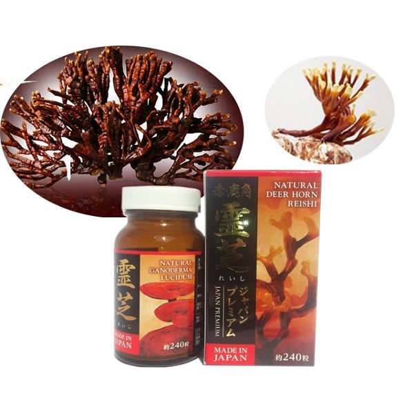 Nấm Linh Chi Đỏ Sừng Hươu 240 Viên Nhật Bản
