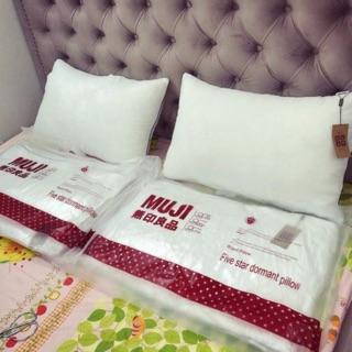 Ruột gối muji