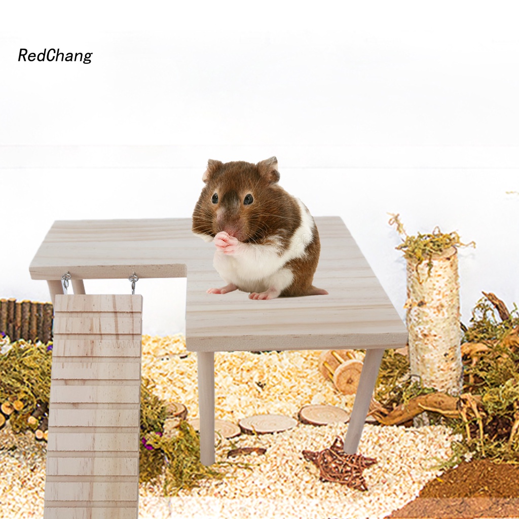 Đồ chơi leo trèo vui nhộn cho chuột hamster