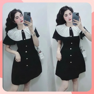 Váy viền cổ bèo