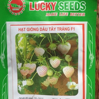 KM- 3 gói Hạt giống dâu tây trắng