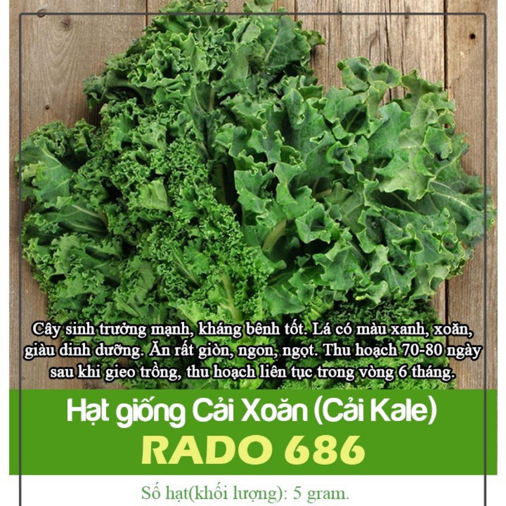 Hạt Giống Cải Xoăn (Cải Kale) Rạng Đông Dễ Trồng Kháng Bệnh Tốt - Gói 5g (HRD-044)