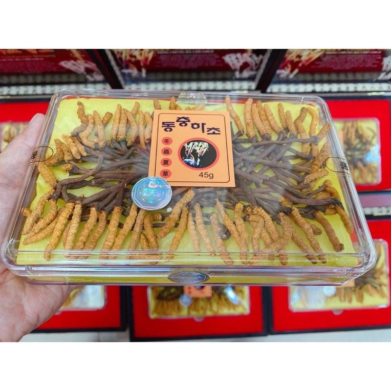 ĐÔNG TRÙNG HẠ THẢO NGUYÊN CON HÀN QUỐC HỘP GỖ - HÀNG CAO CẤP