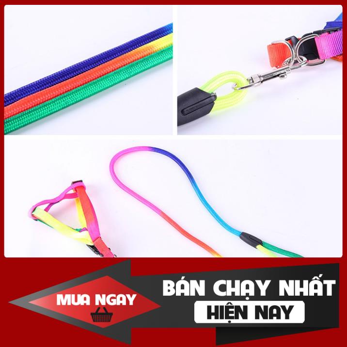 Dây dắt 7 màu cho chó mèo 0