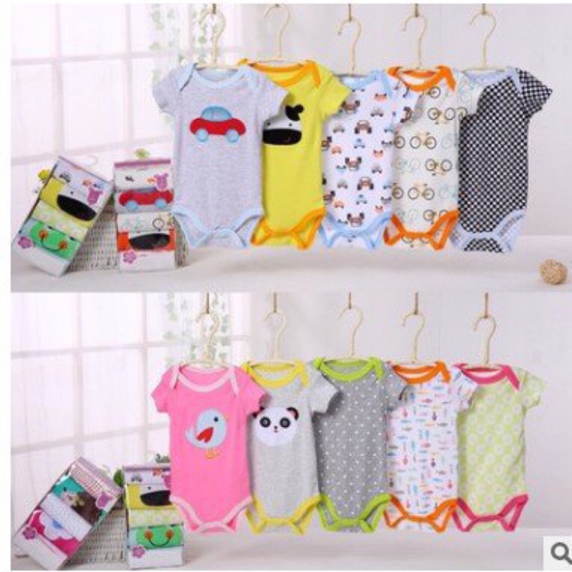 Set 5 body Carter