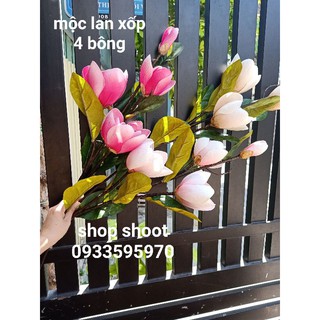 Hoa Mộc Lan Xốp 4 bông( hoa rất to và đẹp)