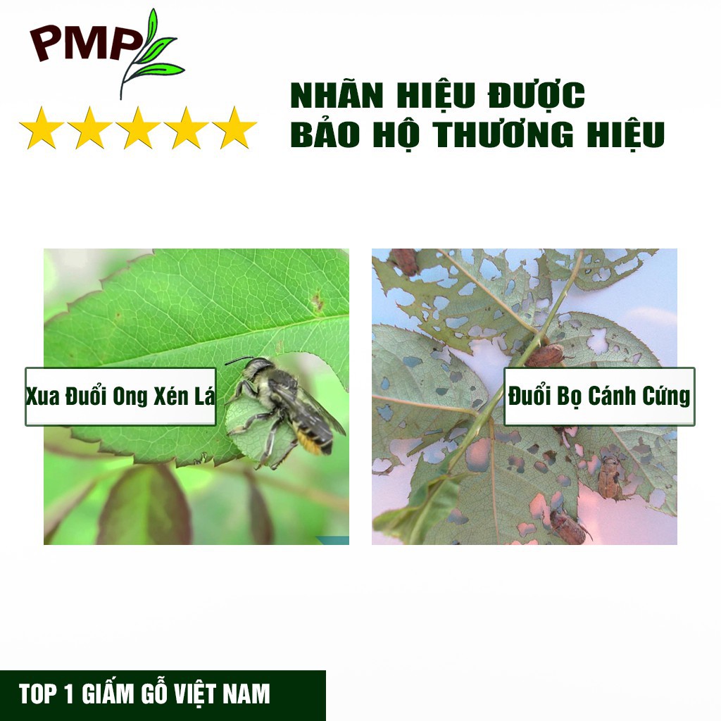 Combo Dầu Green Neem Oil Hữu Cơ &amp; Giấm Gỗ Sinh Học APY PMP Giảm Sâu Bệnh, Bảo Vệ Bộ Lá Cho Hoa Hồng, Rau Sạch