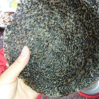 Bánh đa mè đen