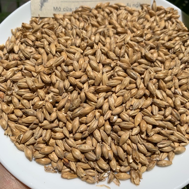Đại Mạch 1kg