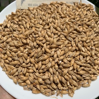 Đại Mạch 1kg
