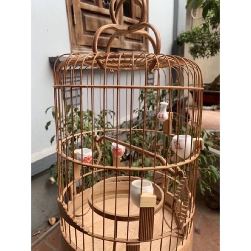 Cóng Sứ Lồng Khuyên (5 cái)