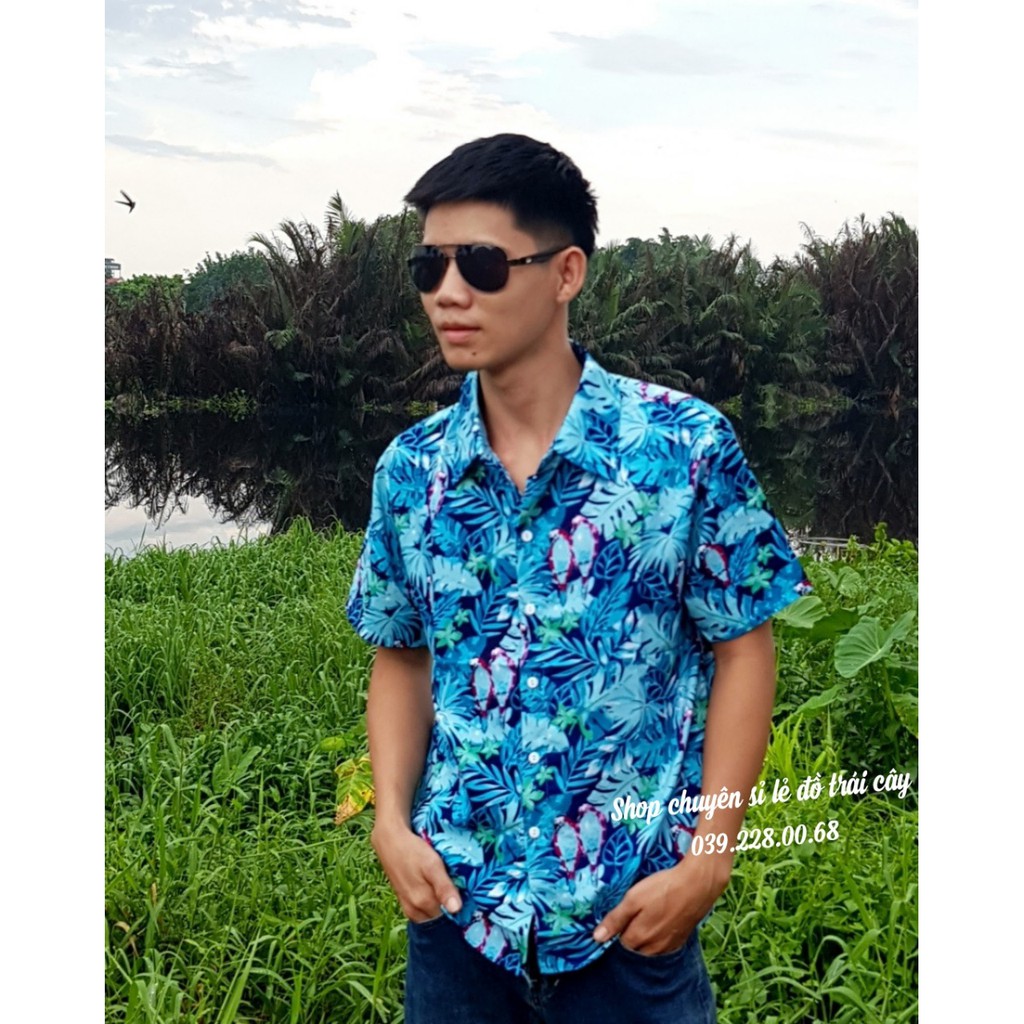 áo sơ mi trái cây, đồng phục đi biển - áo sơ mi big size nam nữ, gia đình