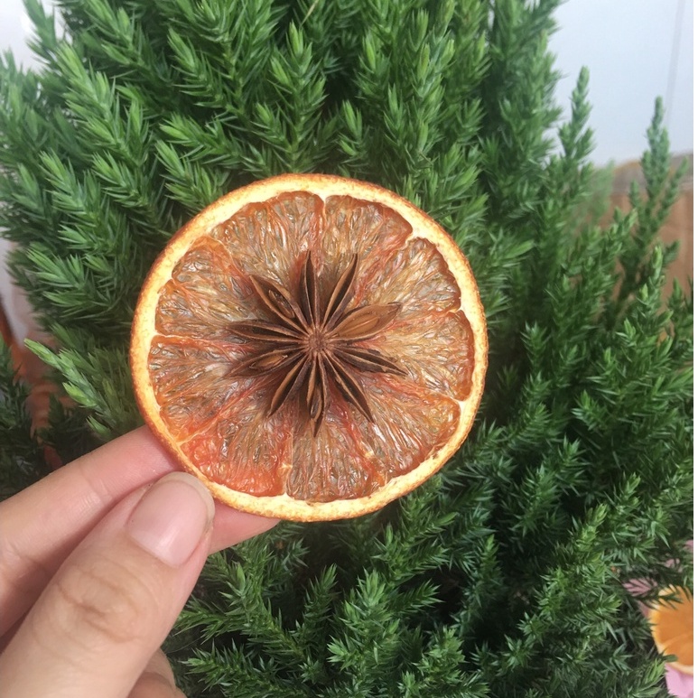 Cam trang trí giáng sinh - Handmade - Cam có đầu hồi trang trí cây thông noel có hương thơm thư giãn