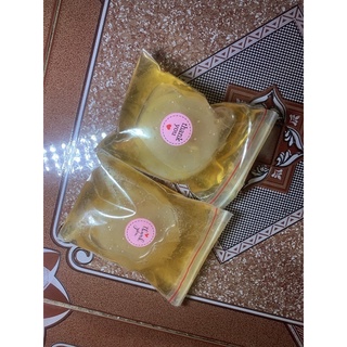 Nước mồi tạo con giống scoby