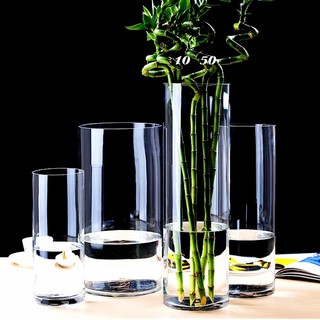 Bình Bông Lọ Hoa Thủy Tinh D10XH50Cm - Bình cắm bông lau khô