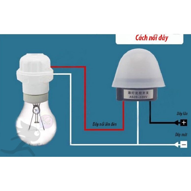 Công tắc cảm ứng ánh sáng 10A AS-20 chuyên dụng bật tắt đèn ngoài trời.