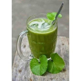 Bột diếp cá sấy lạnh nguyên chất ( hộp 500g )